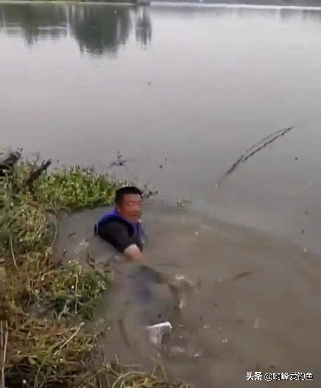 鍏充簬浠垮搧楸肩,浠垮搧楸肩璇勬祴