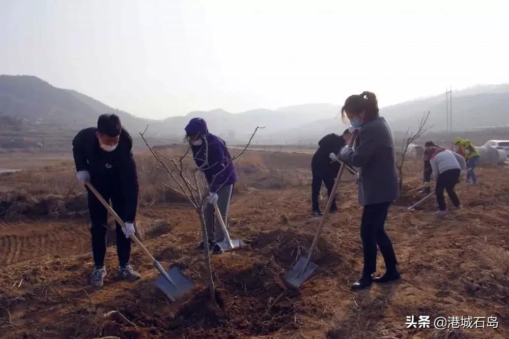 石岛即将开发的项目,石岛的项目