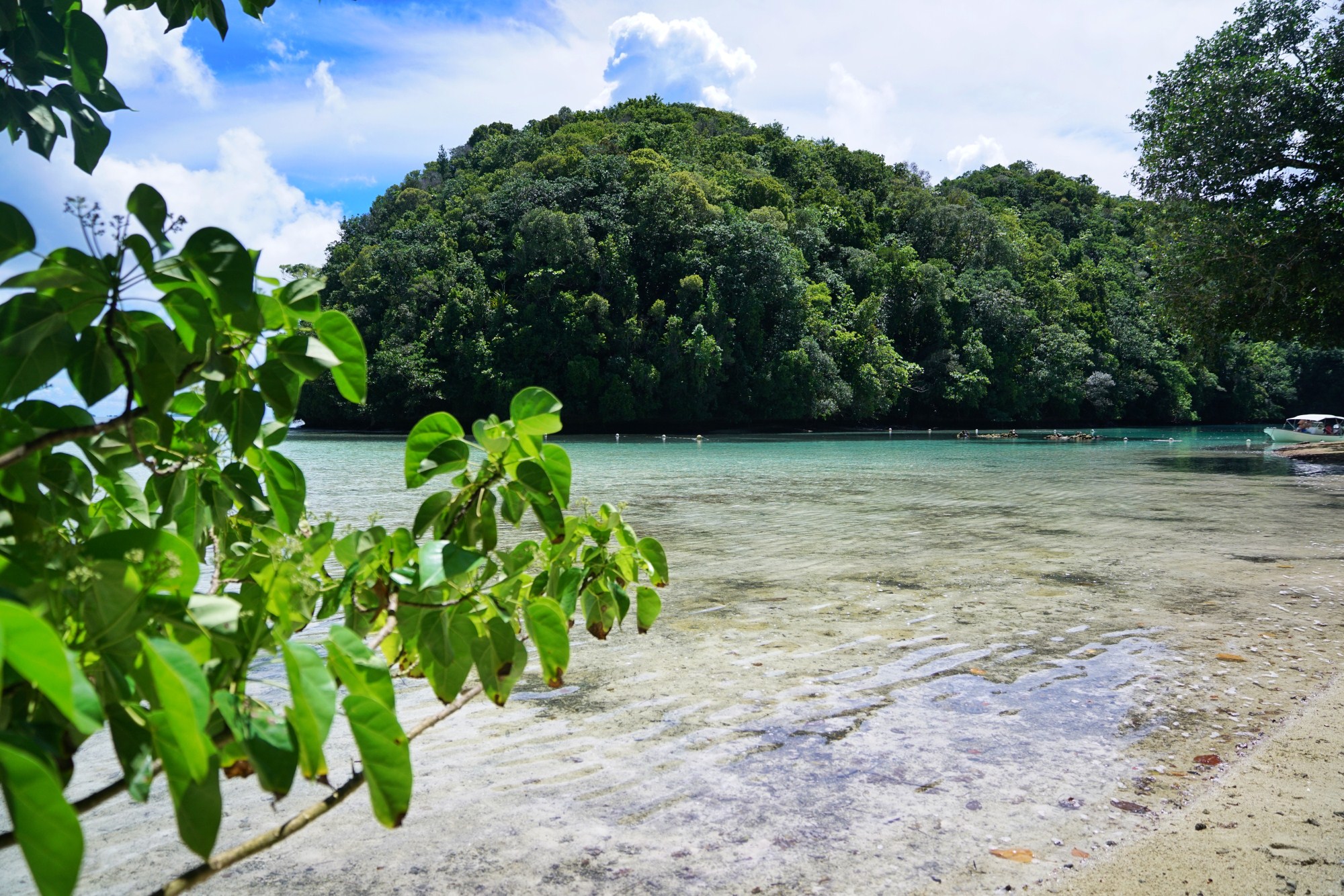 一定是特别的缘分——帕劳，再遇见「周若雪Patty」·上