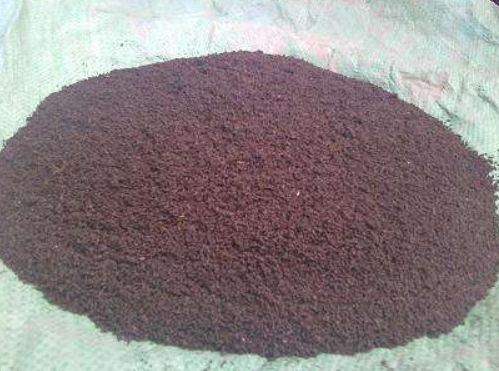 富贵竹越长越瘦,富贵竹越养越细