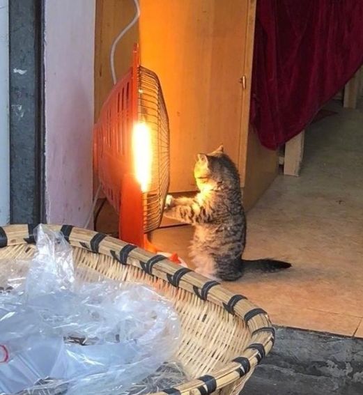 香港这家便利店的店长,靠着腮帮子走红了