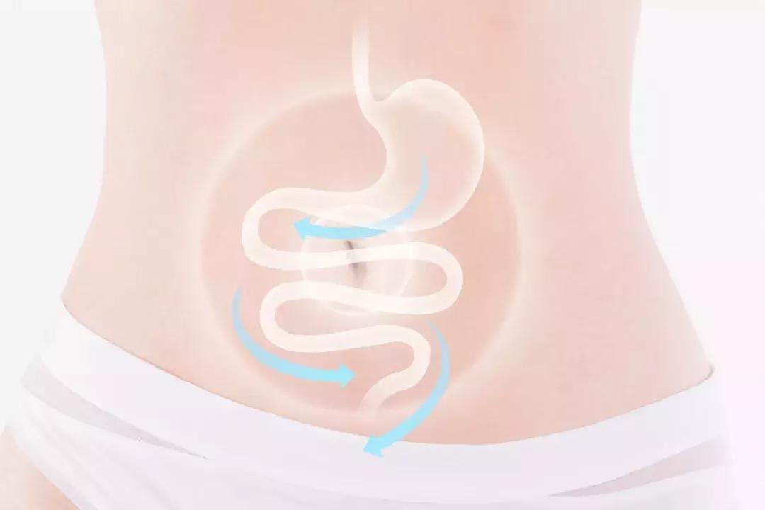 益生菌保护人体的小尖兵你知多少,益生菌是怎样在肠道发挥作用的