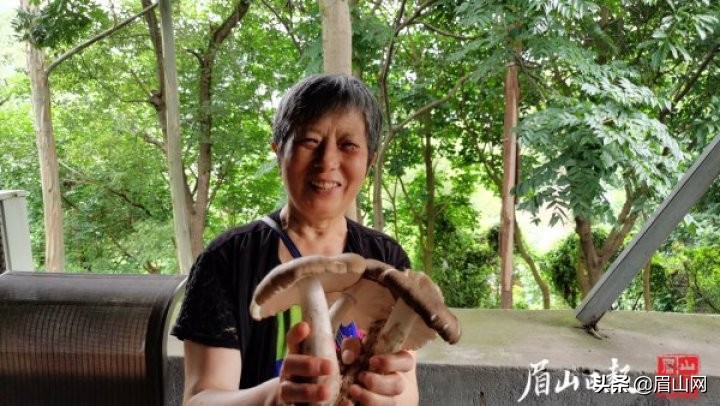 作为资深的吃货你吃过这些东西吗,没吃过这些玩意别说自己是吃货