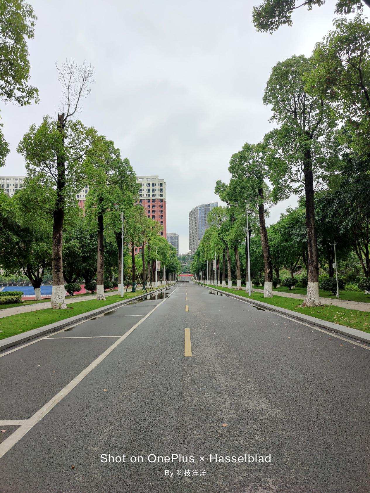 一加9使用感受,一加9使用体验