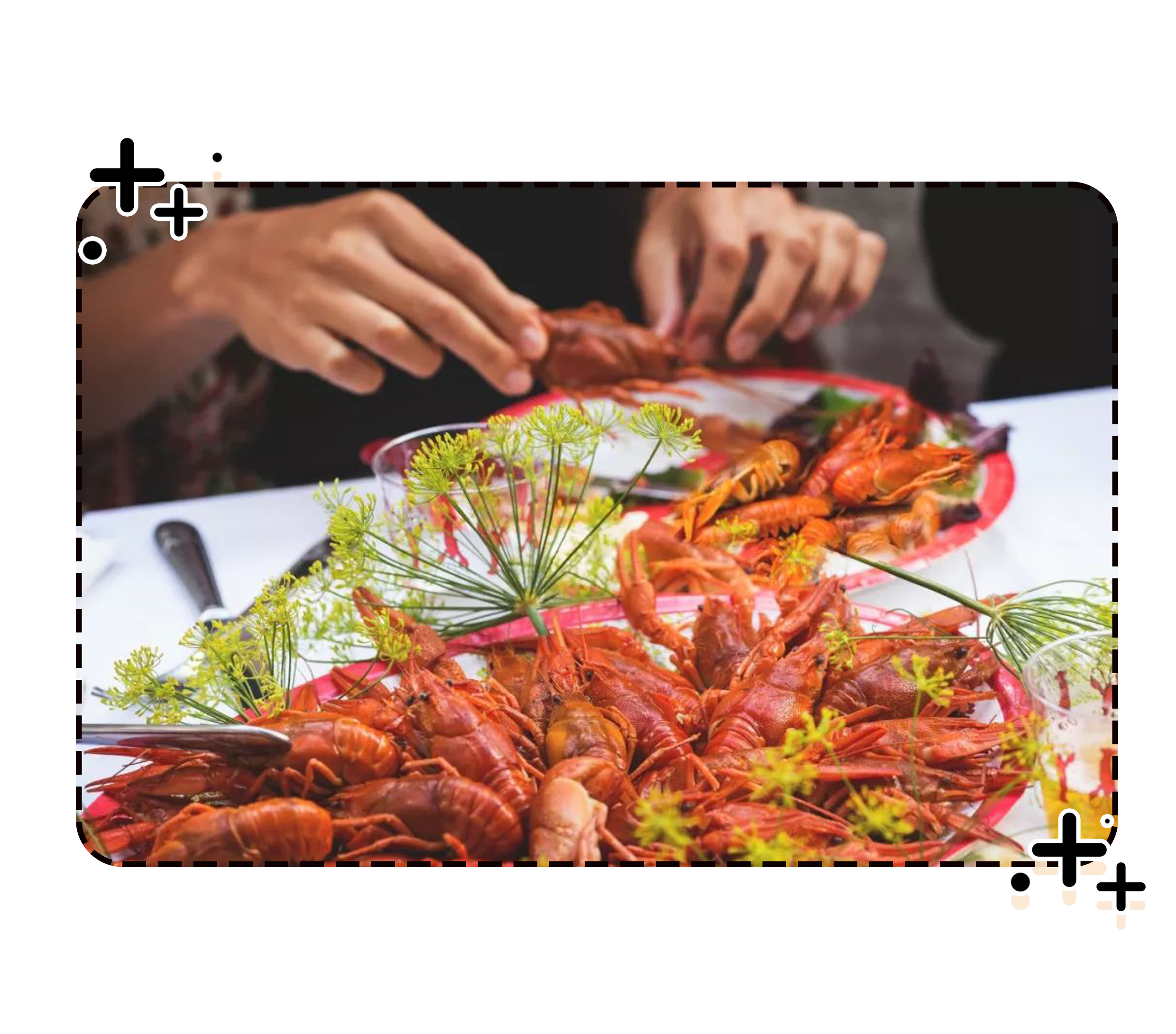 在被摆上餐桌之前,小龙虾也曾让世界人民倍感绝望(菲李漫画)