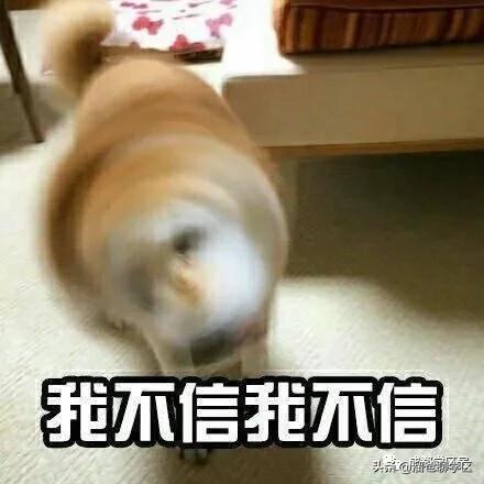 一条马路之隔房价差距大,相隔一条街房价差几倍