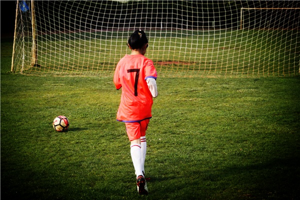 鑷存暚浜戝崡鎶楃柅鑻遍泟,鑷存暚鎶楃柅鑻遍泟鍐涜