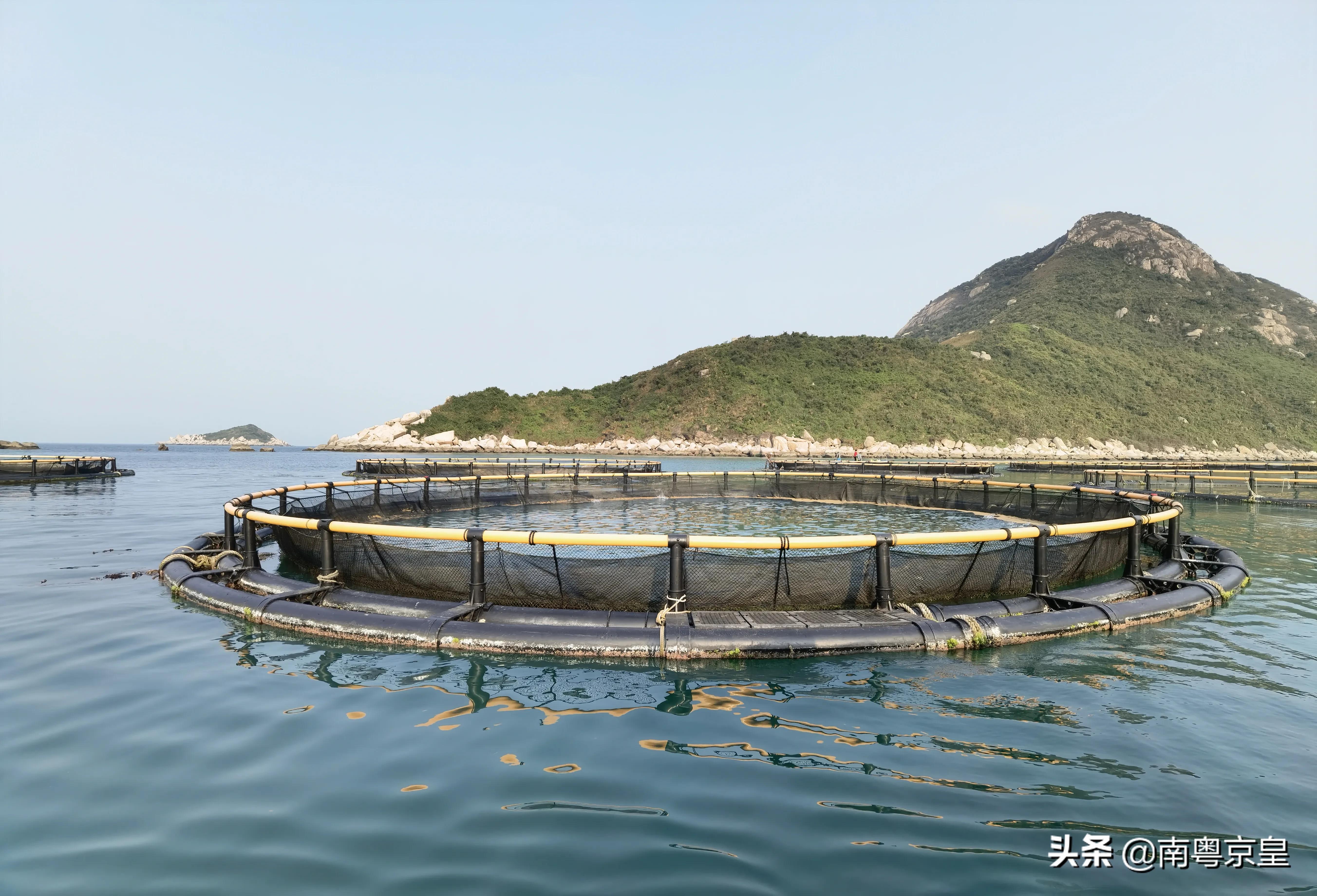 东澳岛海鲜旅游攻略,东澳岛最值得去的地方