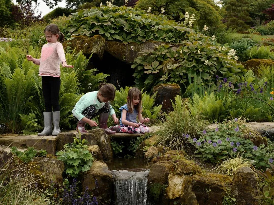 建一座完全不打药的生态花园，所有生命在这里和谐共处，值得收藏