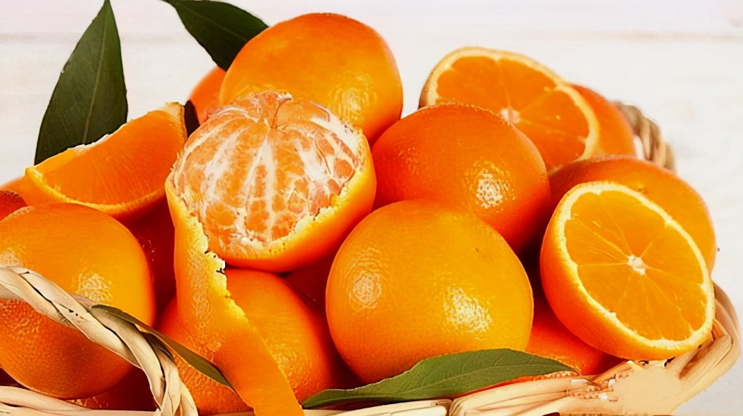 狗狗最不能吃的三种水果,狗狗哪些水果是不能吃的