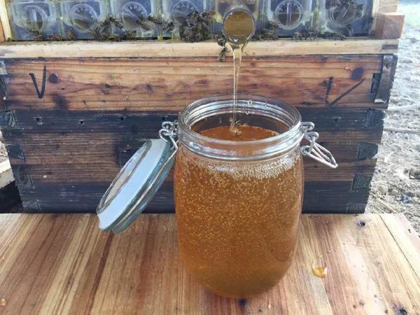 蜂蜜兑水变酸了可以喝吗,蜂蜜泡水喝有点酸是真蜂蜜吗