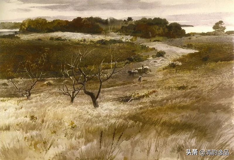 类似安德鲁怀斯的画家,安德鲁怀斯画家视频