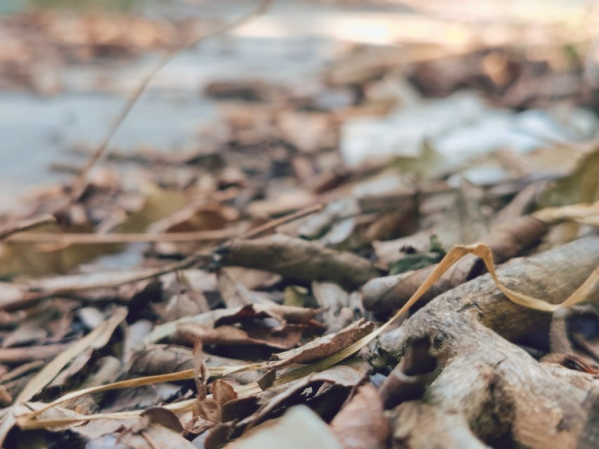 一部手机拍大片视频,一部手机就可以拍出大片