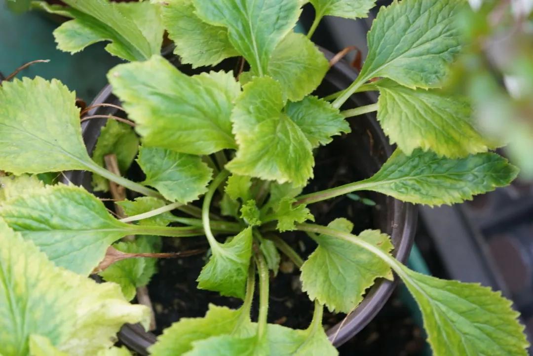 做好这三点你才能成事,做好这三点淡斑效果翻倍