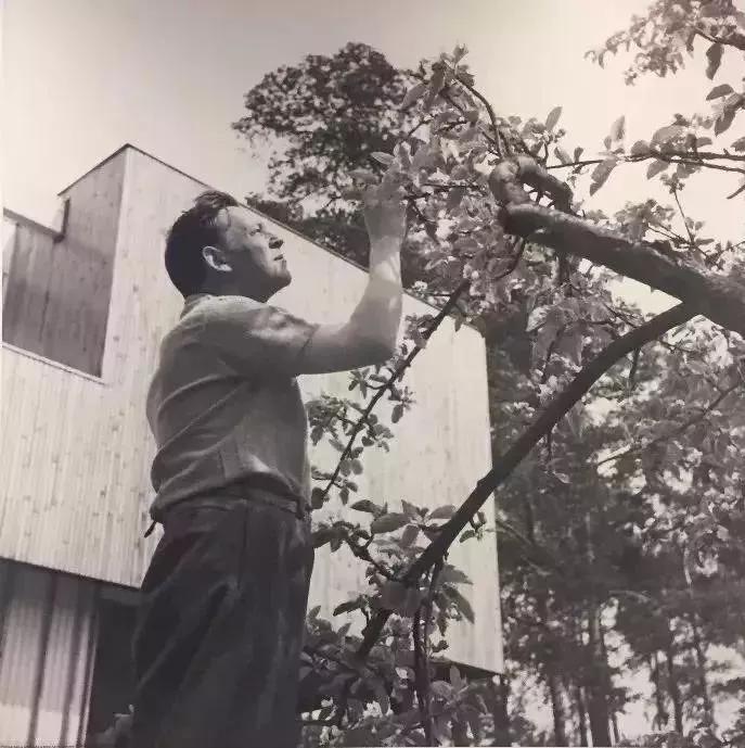 日本设计大师安藤忠雄,安藤忠雄创意设计