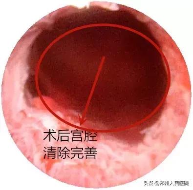 这个小镜子，照看着世上最贵的“房子”