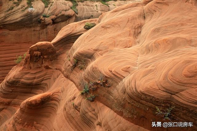 靖边龙州丹霞游玩时间,榆林七彩丹霞旅游景区
