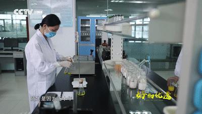 超好吃的火锅蘸料搭配值得收藏,火锅最好吃的火锅蘸料