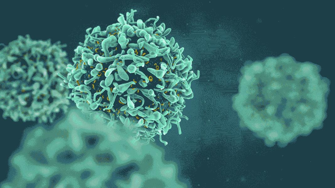 我国科学家首次在南海发现鲸落,南海首次发现鲸落代表什么