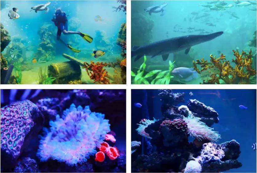 佛山亲子游玩团购推荐,佛山亲子套票一大一小