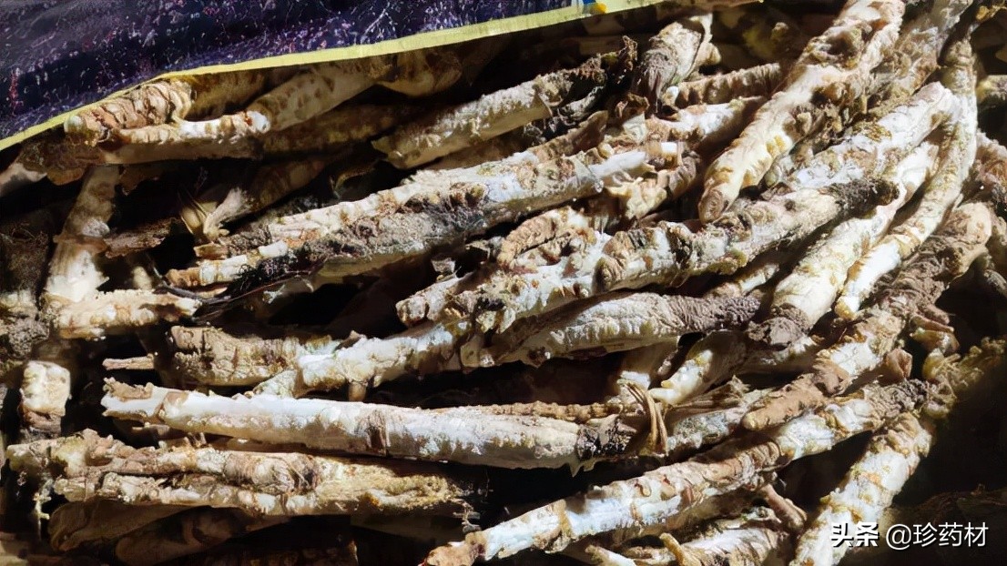 11月1日中药材市场快讯：金樱子、生地、红花、覆盆子、北沙参等