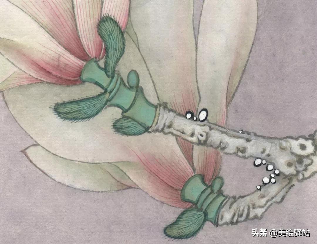 「教程」李晓明《玉兰蝴蝶》绘制步骤