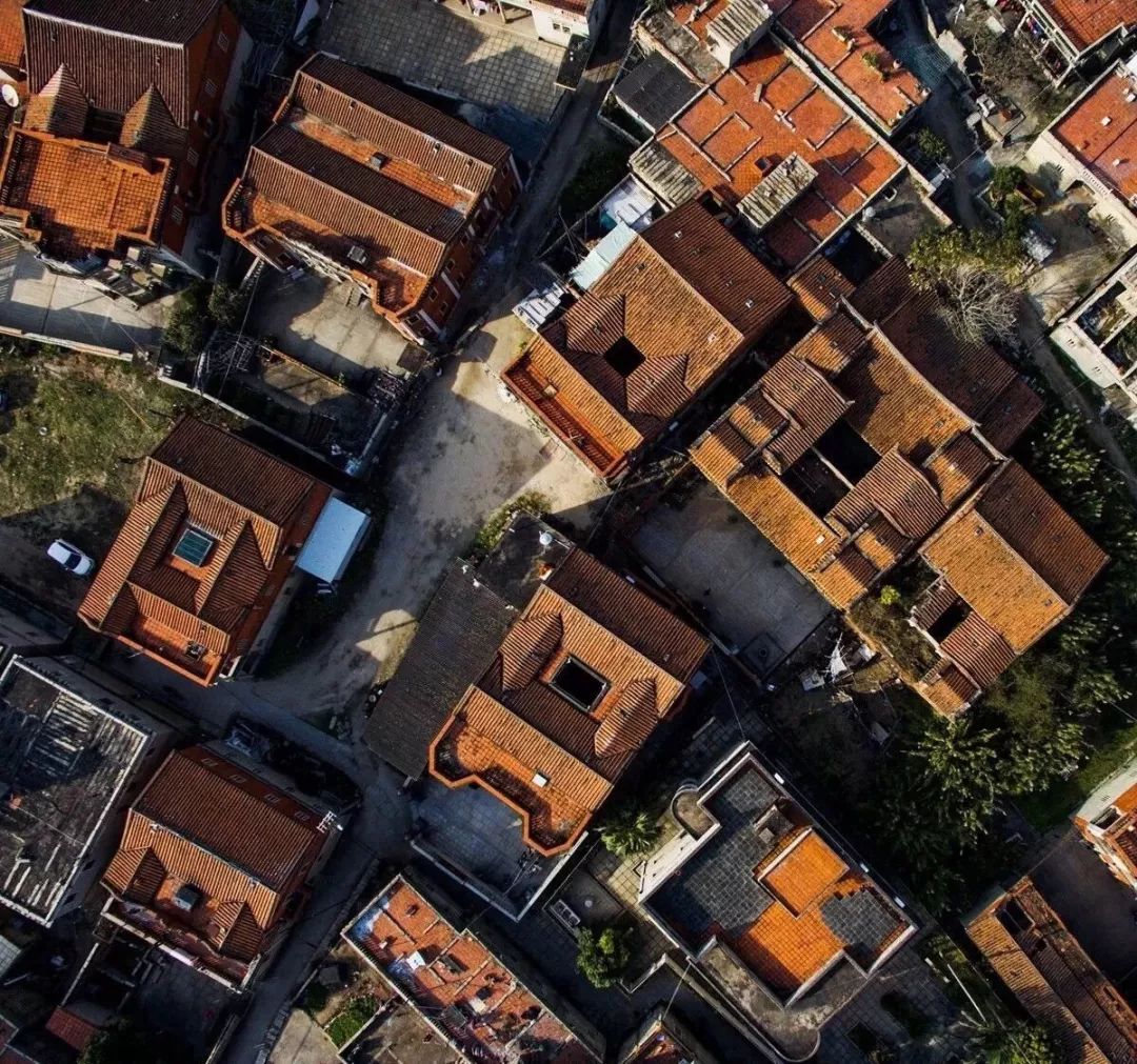 渚ㄨ缁挎鍜栧暋,鍙戠幇榫欐箹涔嬬編