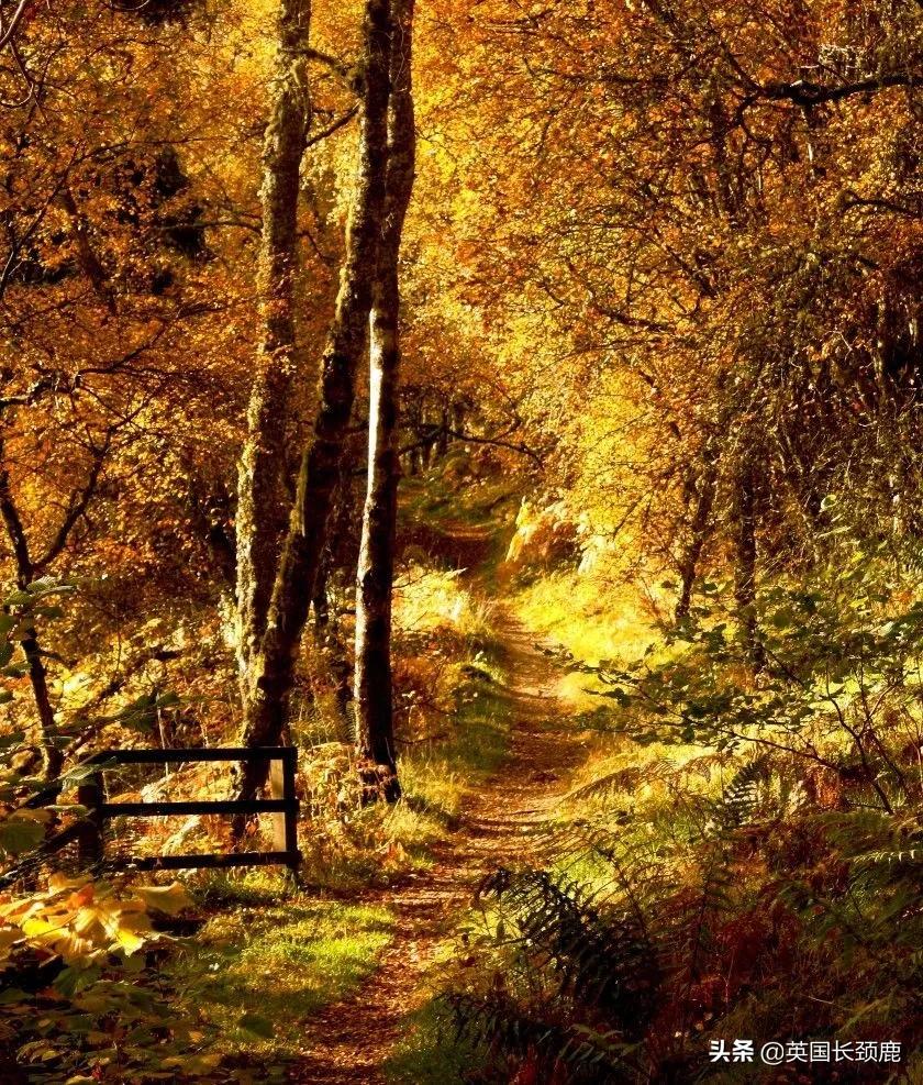 英国秋天好去处,英国秋天旅游必去的地方
