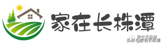 看了它,你会觉得望城原来这么牛