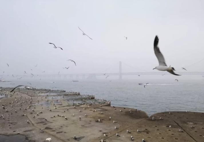 大连滨海路几月最美,大连最美季节