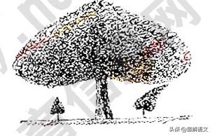 高考语文总复习（二十三）——图文转换