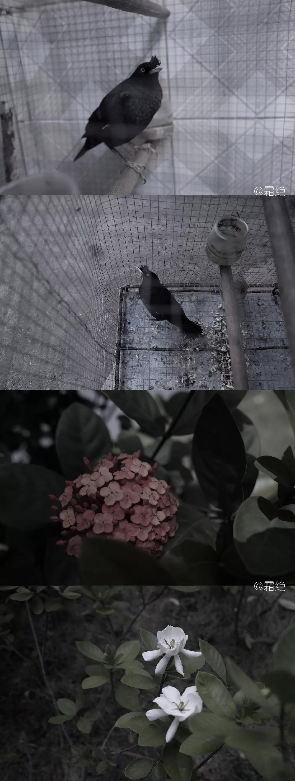 掌握摄影七大要素,掌握摄影三要素