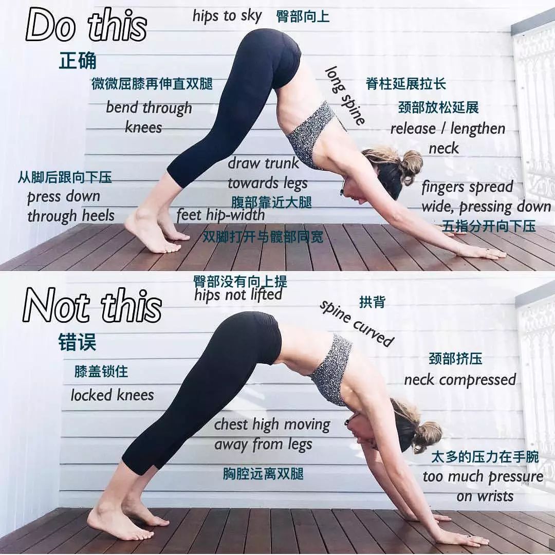 下犬式抬腿瘦腿,狗爬式减肥动作