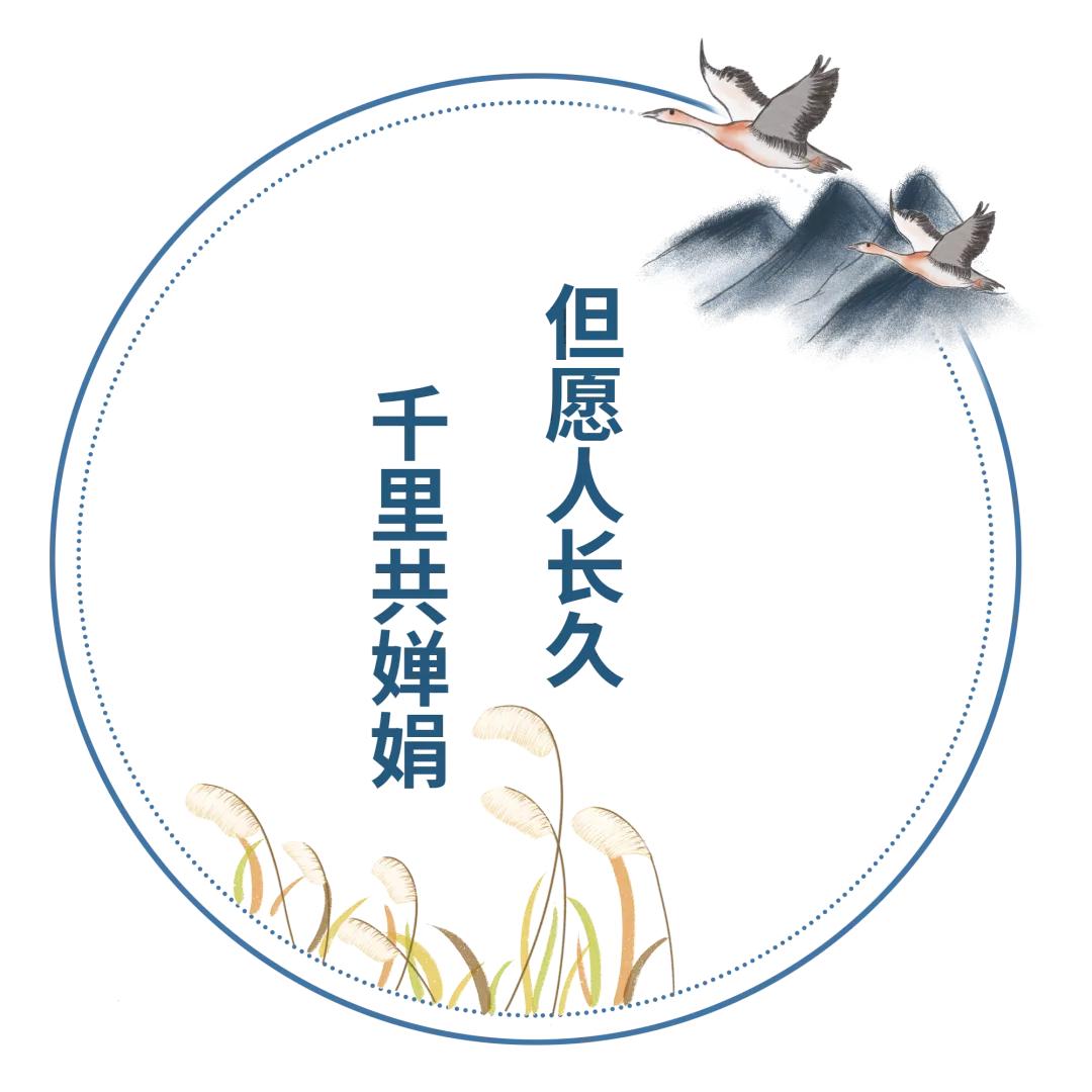 但愿人长久千里共婵娟嫦娥的故事,但愿人长久千里共婵娟嫦娥