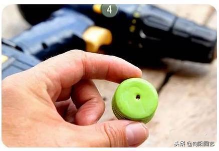 空酒瓶创意改造盆栽,室内盆栽植物专用瓶