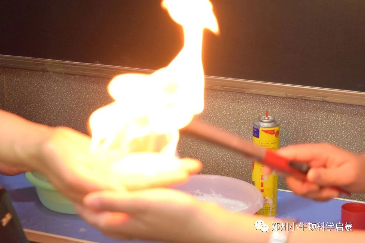 郑州小牛顿科学启蒙,郑州小牛顿幼小衔接加盟