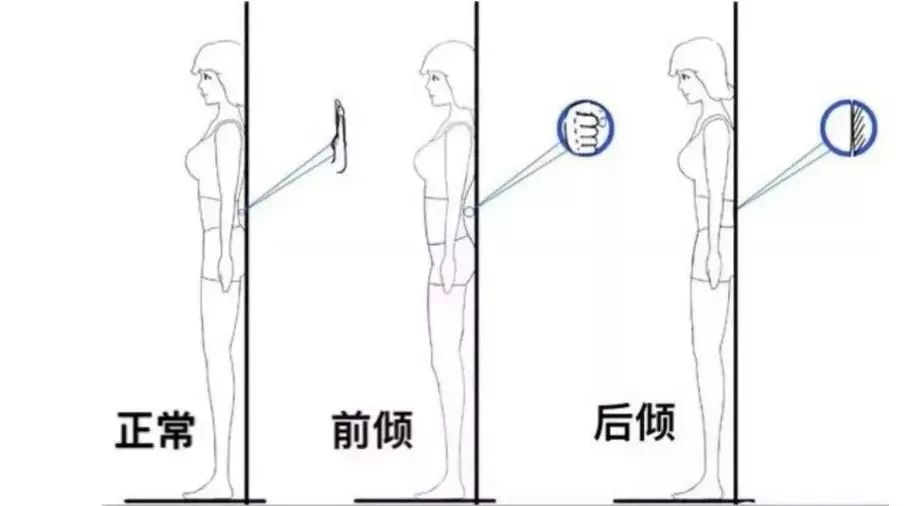 好身材对照图,完美身材腰臀比示意图