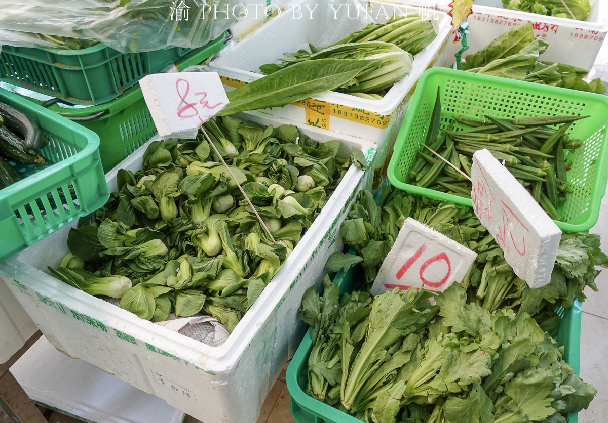闲逛老店林立的澳门十月初五老街，菜市场的菜价有些出乎意料