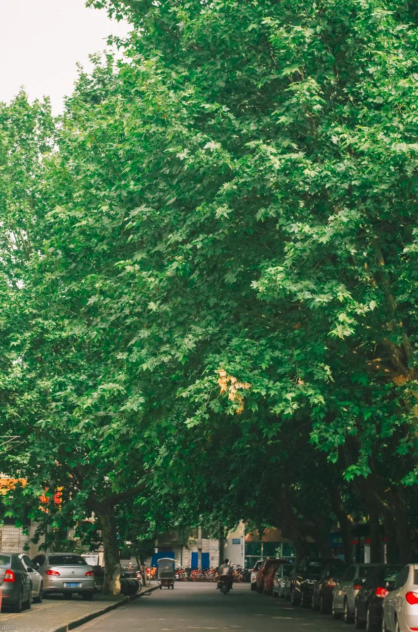 南京天空之镜高清图,中国五大惊艳世界的城市