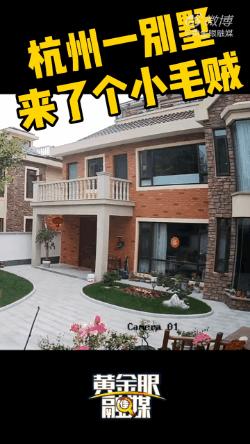 杭州别墅女孩偷走400元,女子别墅翻墙偷走95万现金