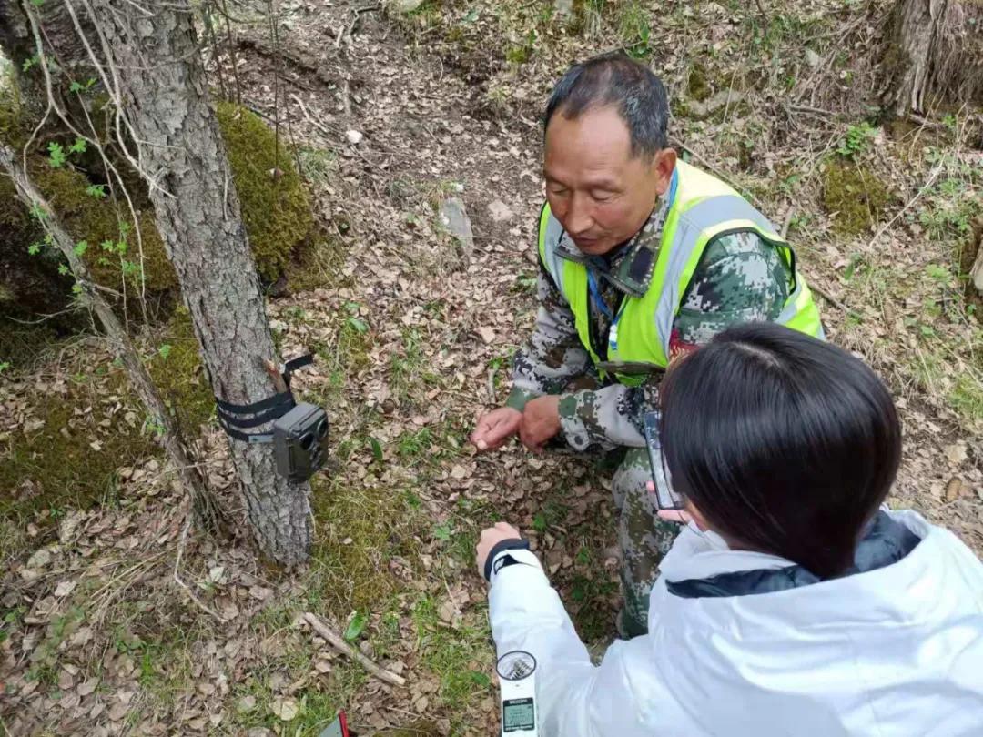 可可西里救援视频,可可西里生死救援