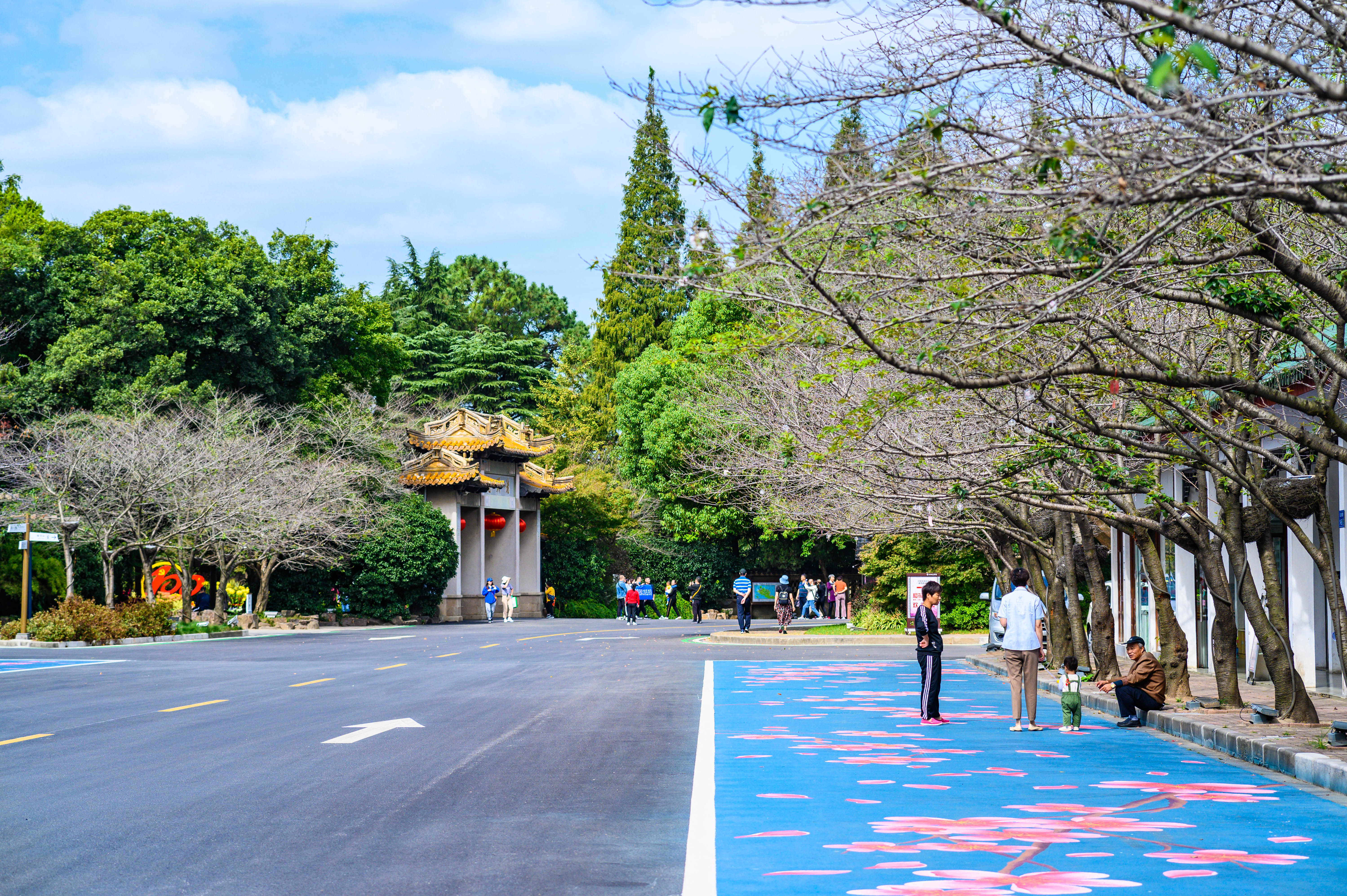 鼋头渚夏季游玩攻略,鼋头渚游玩攻略夏季