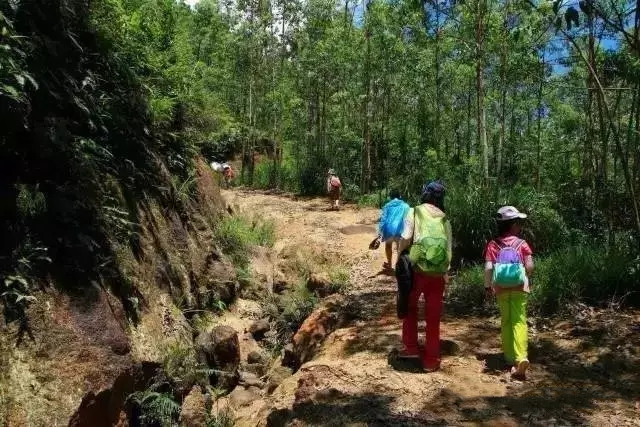 7月7日山间一潭水,悠游无夏日,狮子头莲花坑溯溪游泳开炉腐败