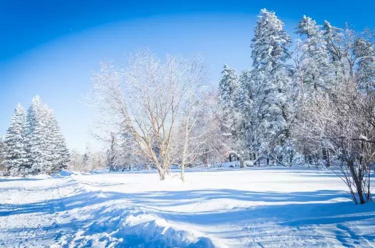 开眼｜为你揭秘“火华社长”代言的“冬之景”！