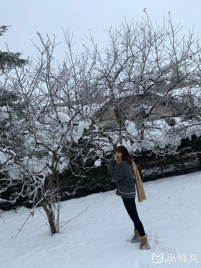 塞尔维亚游记,难忘的欧洲之旅