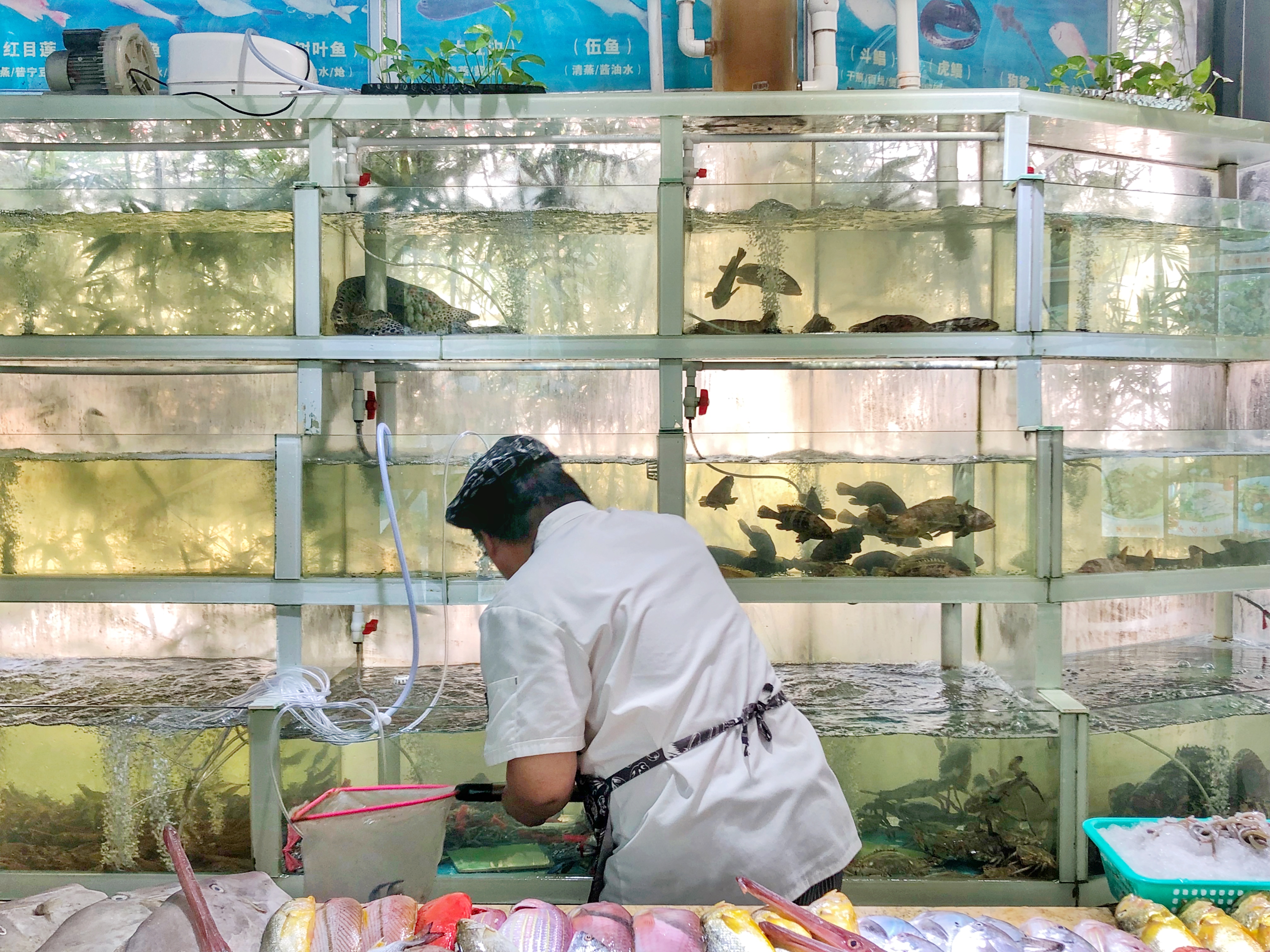 厦门小鱿鱼哪里最好吃,厦门海敢小鱿鱼团购