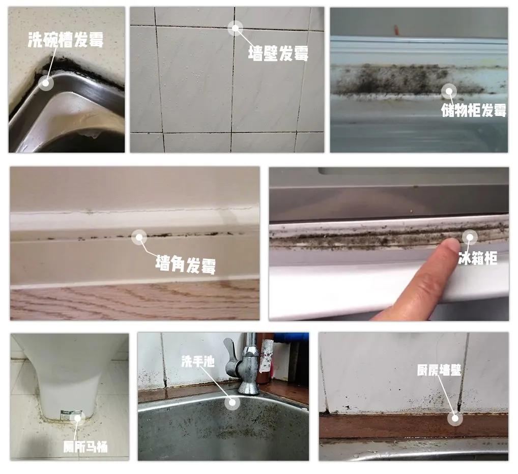 清洗霉斑家用除霉膏,家庭除霉妙招测评