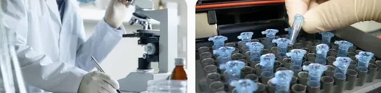 木耳价格相差很多咋回事,市场卖的木耳为什么那么好吃