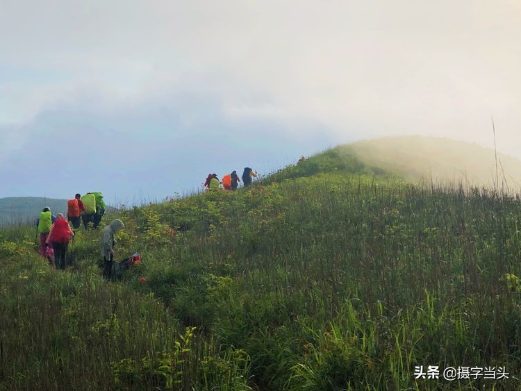 初夏游江西：历经晴、雨、雾，穿越武功山