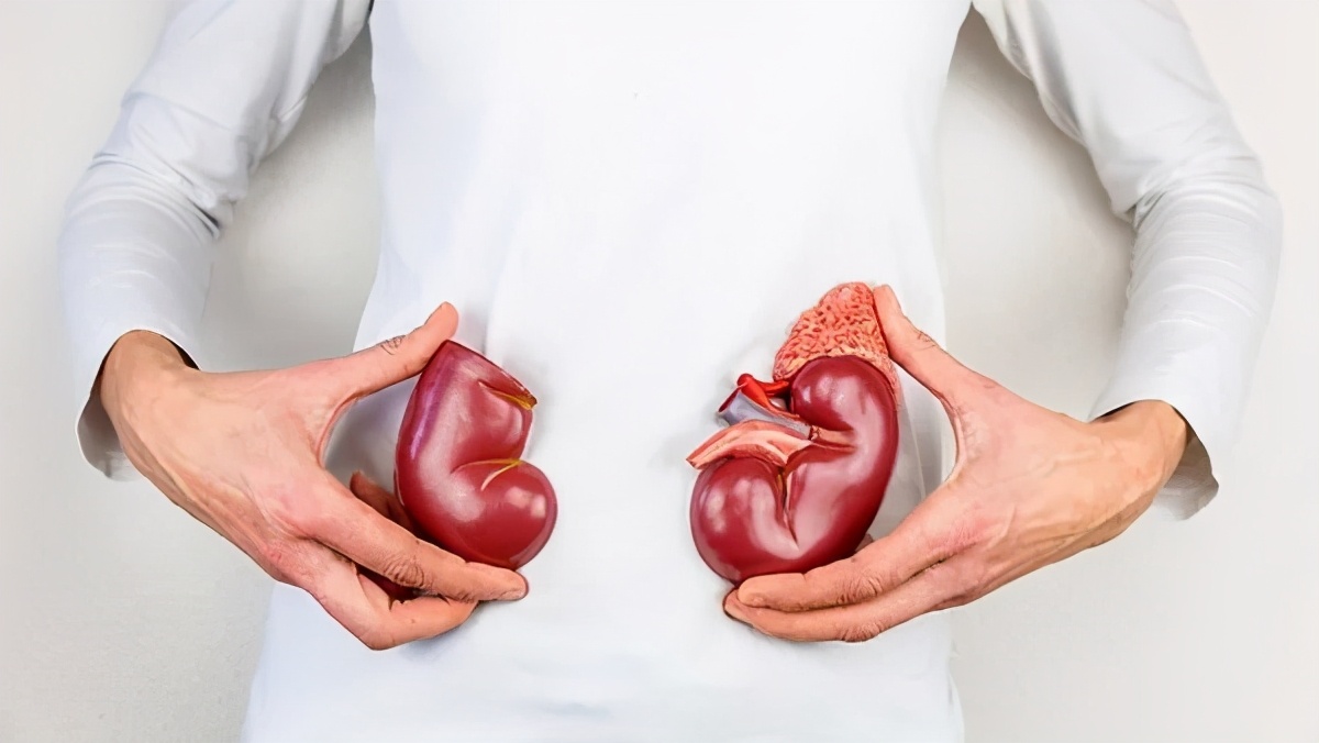 一侧腰痛一般为肾病怎么治,前列腺腰痛与肾病腰痛有什么区别